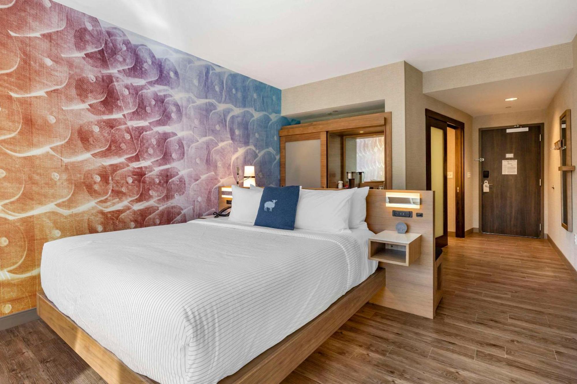 Cambria Hotel Manchester South Windsor Exteriör bild